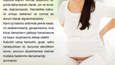 Hamilelikte Kabızlık Sorununa Doğal Çözümler ve Diyette Lif Kaynakları